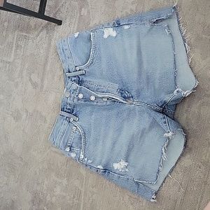 Agolde Parker Long Shorts